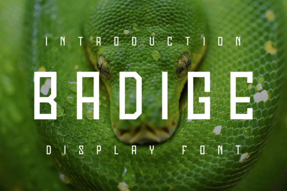Badige: A Modern Display Font for Crafters