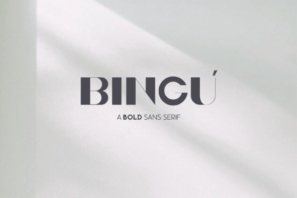 Bingu: A Unique Display Font for Editorial Design