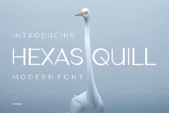 Hexas Quill: A Modern Display Font for Web Design