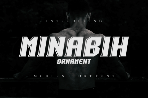 Minabih Ornament: A Bold Display Font for Web Design